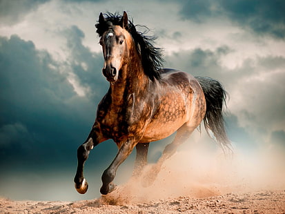 brun häst digital tapet, öken, häst, Mustang, galopp, HD tapet HD wallpaper