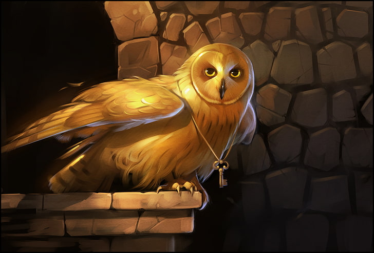 brown owl wearing key necklace wallpaper, eyes, gold, owl, bird, wings, key, art, HD wallpaper
