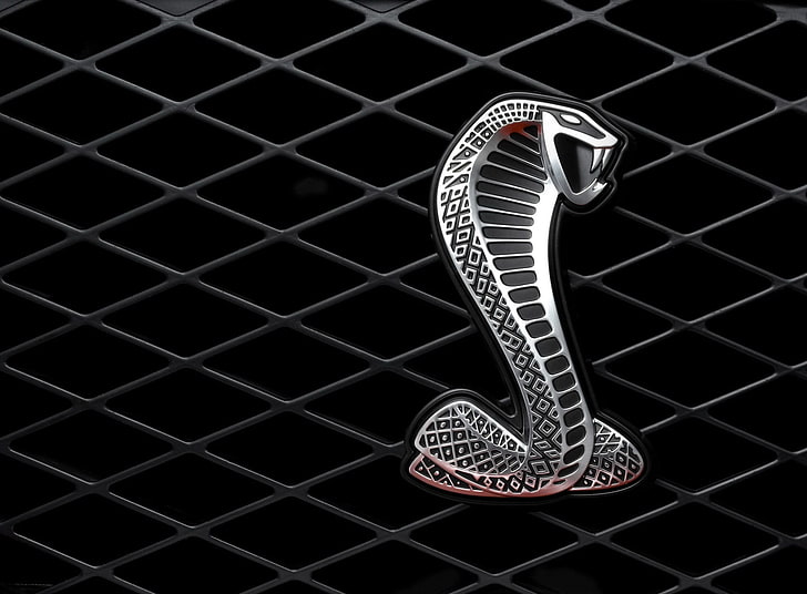2007 Ford Shelby GT500 Logo, обои серая кобра, Автомобили, Ford, 2007, Logo, Shelby, GT500, HD обои