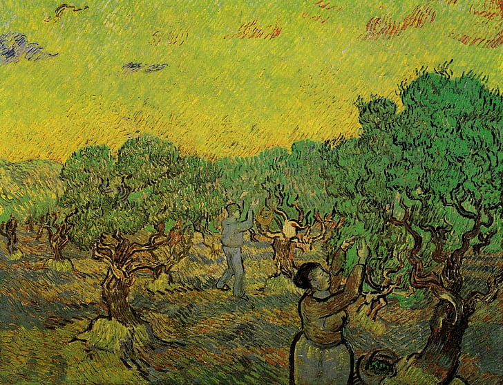 Vincent van Gogh, Olive Grove with, collectors of berries, Picking Figures, HD wallpaper