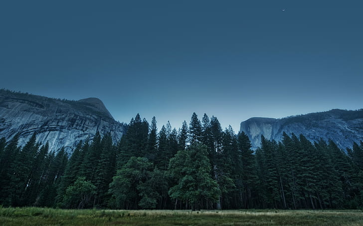 landscape, nature, pine trees, Yosemite Valley, Yosemite National Park, cliff, HD wallpaper