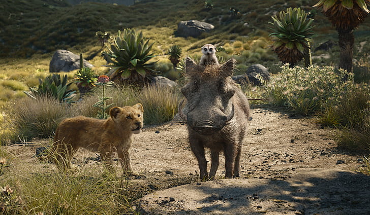Film, The Lion King (2019), Pumbaa (The Lion King), Simba, Timon (The Lion King), Wallpaper HD