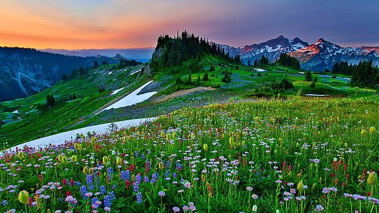 Wallpaper Field Of Mountain Flowers Sky Grass Lovely Ultra 3840 × 2160 Hd 1705170, Sfondo HD HD wallpaper