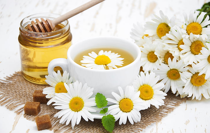 flowers, chamomile, honey, tea fragrant, HD wallpaper