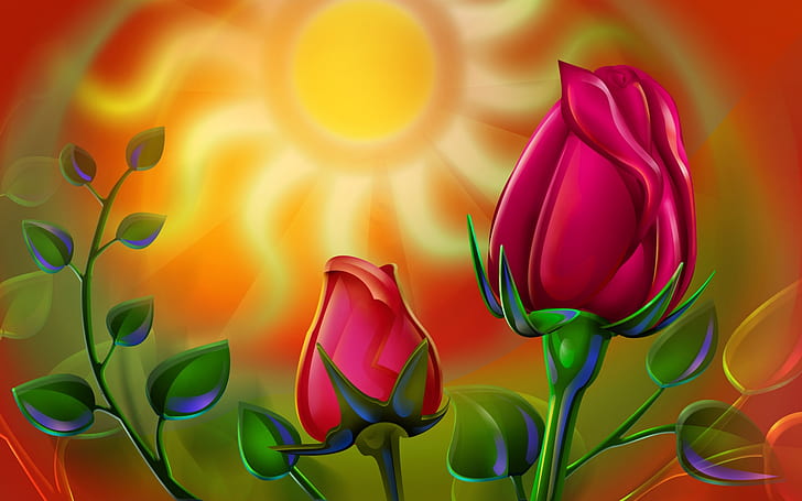 Sun Rose, rose, Sfondo HD