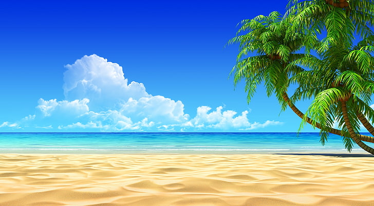 Impresionante playa tropical, palmera verde, estaciones, verano, Fondo de pantalla HD