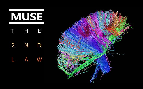 Fondo de pantalla de Muse The 2nd Law, colores, Muse, portada, cerebro, paquete, The 2nd Law, cables, Fondo de pantalla HD HD wallpaper