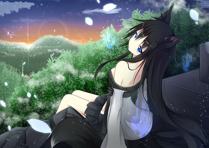 schwarze haare, blaue augen, errötend, wolken, wald, fuchsmädchen, lange haare, blütenblätter, rock, sonnenuntergang, bäume, anime girls, HD-Hintergrundbild