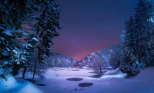 pino verde, nieve, paisaje, bosque, lago, noche, invierno, camino, hielo, lago congelado, estanque, azul, árboles, violeta, parque, Fondo de pantalla HD HD wallpaper