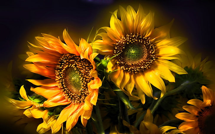 four sunflowers painting, Flowers, Sunflower, HD wallpaper