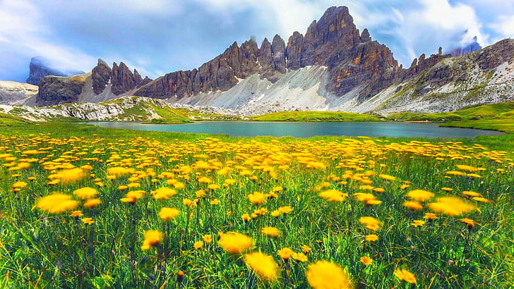 Alpes Dolomitas na Itália Primavera Flores silvestres Grama verde Lindas flores amarelas Montanhas do lago Nuvens Papel de parede bonito da paisagem Hd 1920 × 1080, HD papel de parede