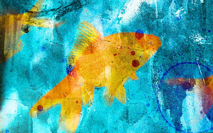 pesce, pesce rosso, blu, graffiti, ciano, giallo, Sfondo HD
