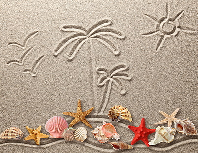 snäckskal, sand, figur, skal, textur, ritning, sjöstjärna, snäckskal, HD tapet HD wallpaper