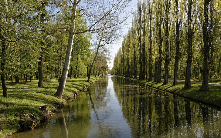 canal, forests, trees, HD wallpaper