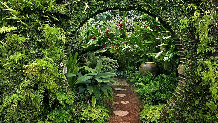 garden plants, nature, landscape, garden, leaves, plants, flowers, ferns, Sri Lanka, jars, HD wallpaper