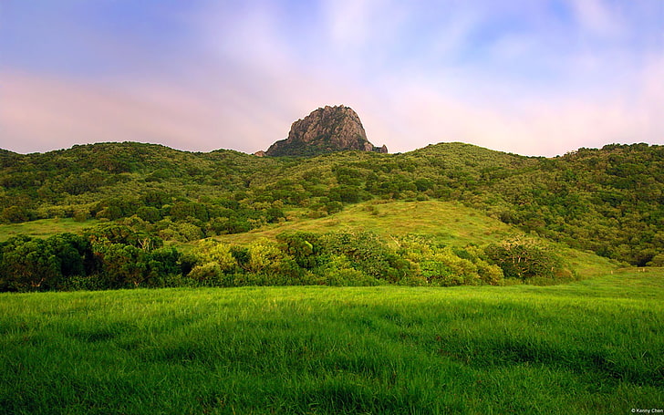 Тайвански красив планински меч-Windows 10 Wallpap .., зелено тревно поле, HD тапет