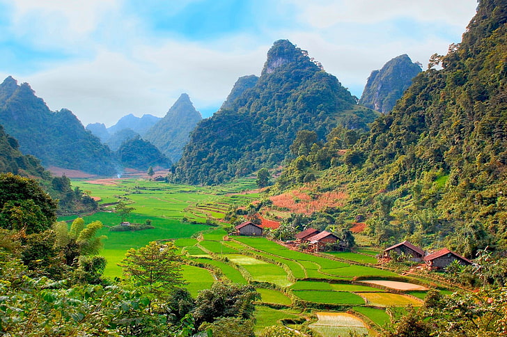 Man Made, Rice Terrace, Earth, Forest, Landscape, Mountain, Vietnam, Village, HD wallpaper