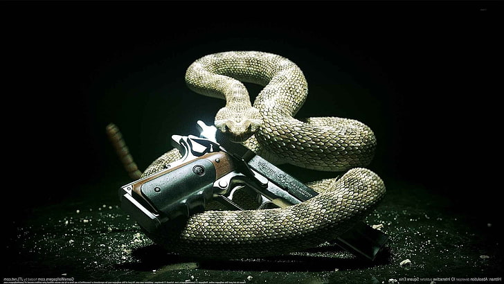 пистолет, Hitman: Absolution, компьютерные игры, змея, HD обои