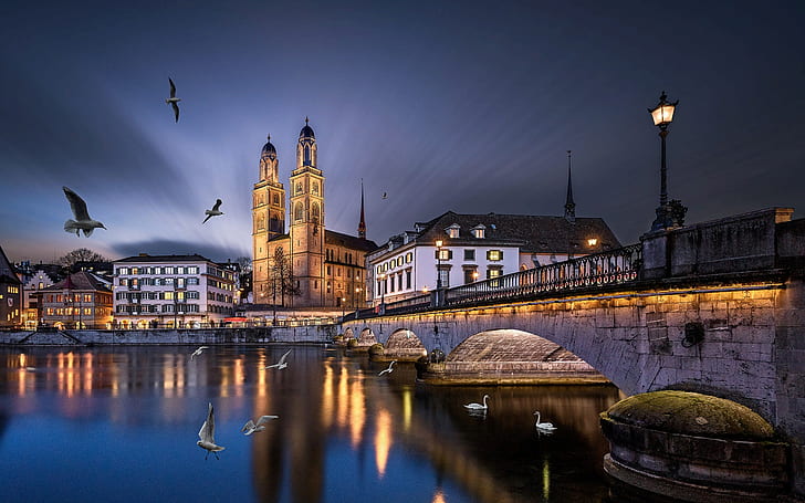 aves, puente, la ciudad, río, edificio, la noche, Suiza, iluminación, luces, Iglesia, torre, cisnes, Zurich, Fondo de pantalla HD