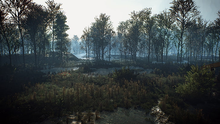 grünblättrige Bäume, The Witcher 3: Wild Hunt, Videospiele, The Witcher, HD-Hintergrundbild