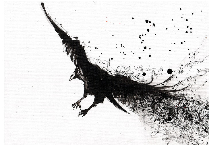 black bird sketch, raven, birds, monochrome, HD wallpaper