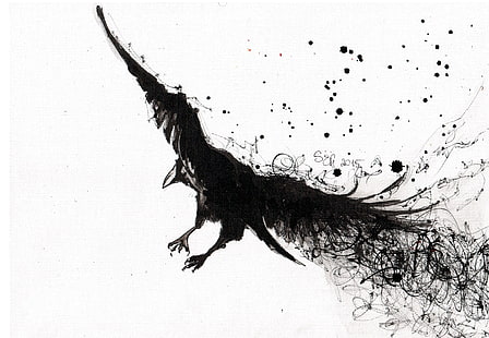 black bird sketch, raven, birds, monochrome, HD wallpaper HD wallpaper