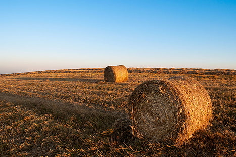agriculture, farming, field, harvest, hay bales, sky, straw, HD wallpaper HD wallpaper