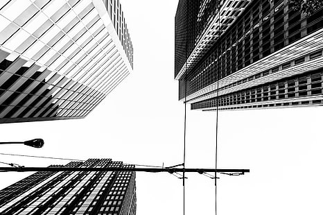 Gebäude, Wolkenkratzer, Wurmperspektive, Monochrom, Stromleitungen, HD-Hintergrundbild HD wallpaper