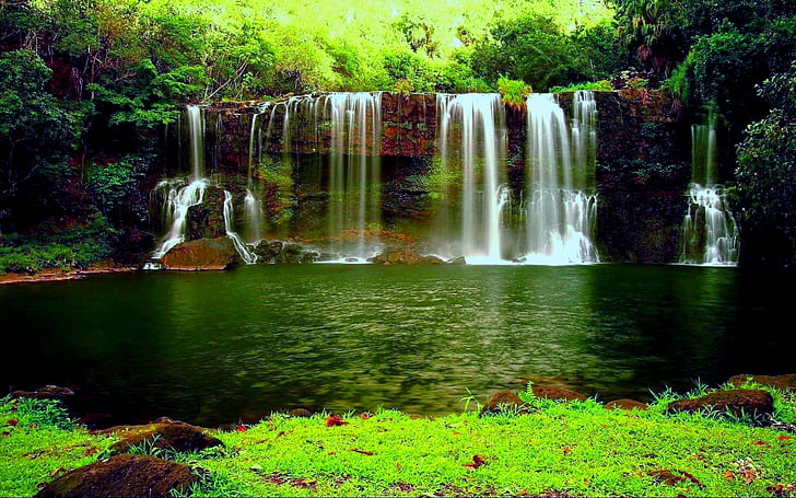 Водопад в дебелата зелена гора Речно езерце Weed Hd тапети за работен плот 1920 × 1200, HD тапет