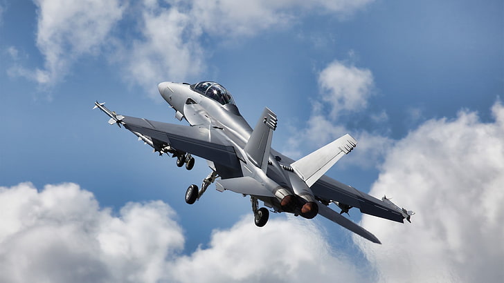 보잉 F / A-18E / F 슈퍼 호넷, 비행기, HD 배경 화면