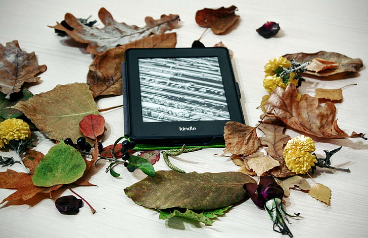 atmosphere, autumn, book, decoration, device, digital, e book, e reader, education, electronic, internet, kindle, leaves, library, literature, page, pepper white, reading, screen, tablet, technology, touch, HD wallpaper