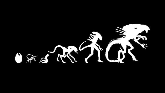 Илюстрация за еволюция на извънземни, фен изкуство, Ксеноморф, научна фантастика, Х. Р. Гигер, HD тапет HD wallpaper