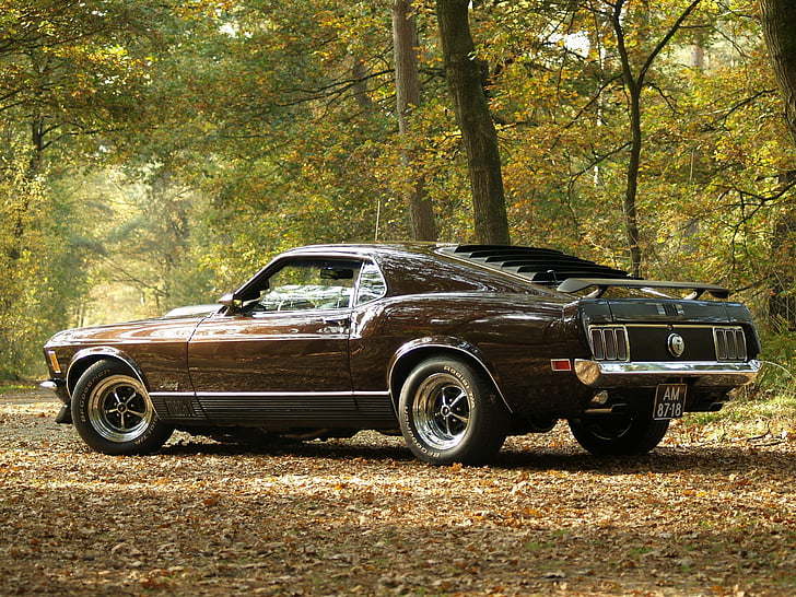 1970, klasik, ford, mach 1, otot, mustang, Wallpaper HD