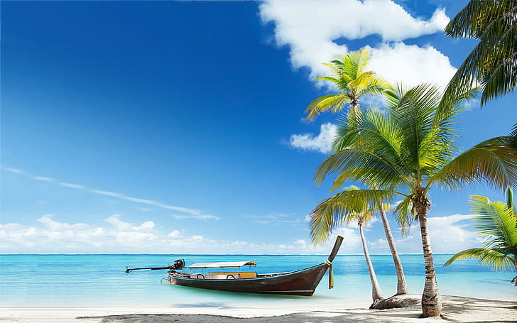 Barco Tropical Beach, playa, naturaleza, barco, tropical, Fondo de pantalla HD