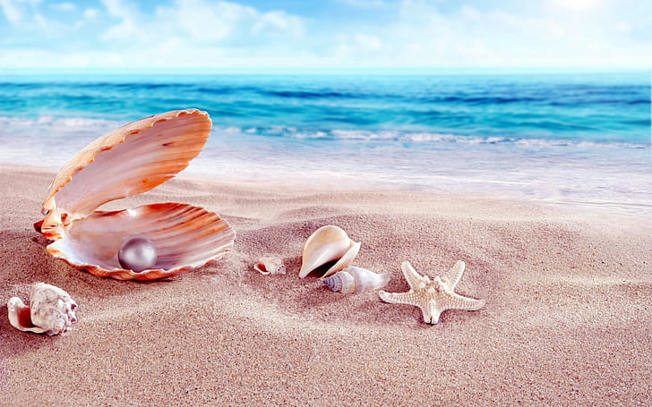 Sea Shells With Beads Sandy Beach Hd Wallpapers 1920×1200, HD wallpaper
