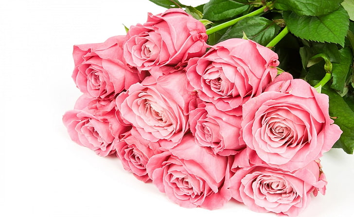 rosa rosblommor, rosor, blommor, bukett, mjuk, elegant, vit bakgrund, HD tapet