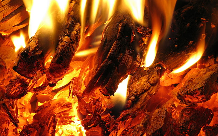 fire, flame, the fire, heat, coal, HD wallpaper