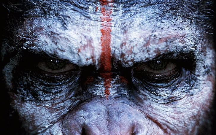 Apes, Dawn Of The Planet Of The Apes, movies, Planet Of The Apes, HD wallpaper