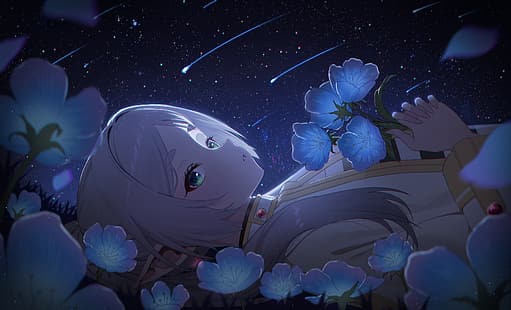 Sousou No Frieren, blommor, anime girls, liggande på rygg, Frieren (Sousou no Frieren), anime, tittar på betraktaren, alver, stjärnor, natt, stjärnhimmel, stjärnklar natt, meteorstrimmor, liggande, spetsiga öron, blå blommor, grått hår, sammanflätade fingrar, Seoki, fält, gräs, gröna ögon, långt hår, gnistrar, himmel, kronblad, HD tapet HD wallpaper