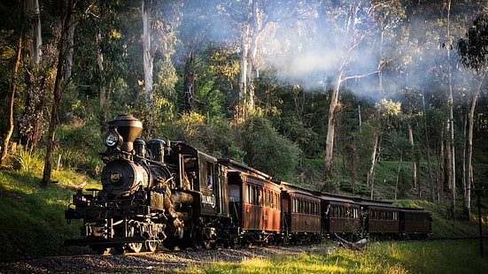 Австралия, гора, трева, пейзаж, природа, железопътна линия, дим, парен локомотив, слънчева светлина, влак, дървета, HD тапет HD wallpaper