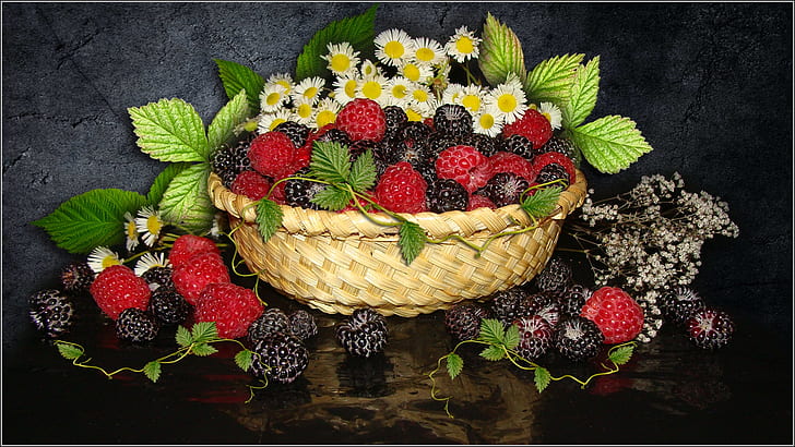 blommor, hallon, kamomill, bär, stilleben, BlackBerry, s, foto Elena Anikina, HD tapet