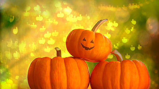 pumpkin, vegetable, squash, produce, orange, halloween, food, autumn, fall, lantern, october, holiday, pumpkins, thanksgiving, seasonal, harvest, lamp, season, decoration, plant, yellow, gourd, source of illumination, stem, fruit, HD wallpaper HD wallpaper