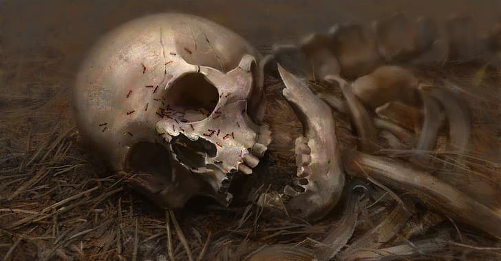 Erikas Perl, concept art, skull, skeleton, grass, ants, Decomposition, bones, old, illustration, HD wallpaper