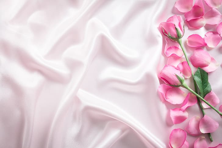 flowers, roses, petals, silk, pink, buds, fresh, beautiful, HD wallpaper