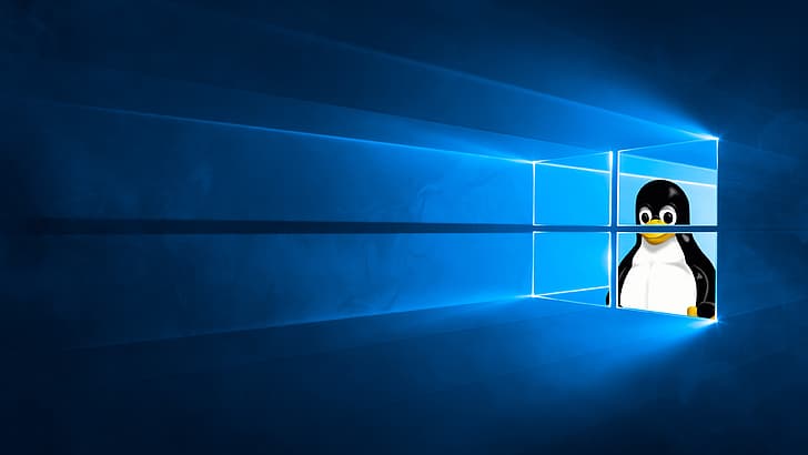 Windows 10, Tux, Linux, GNU, HD papel de parede