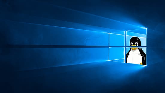 Windows 10, Tux, Linux, GNU, Fondo de pantalla HD HD wallpaper