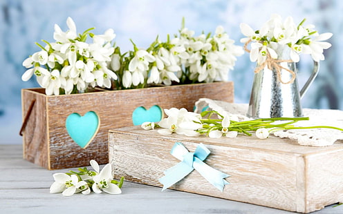 Frühlings-Schneeglöckchen-Blumen-Blumenstrauß, Frühling, Schneeglöckchen, Blumen, Blumenstrauß, HD-Hintergrundbild HD wallpaper