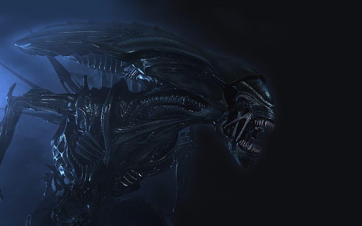 Alien HD, czarna ilustracja kosmity, filmy, kosmita, Tapety HD