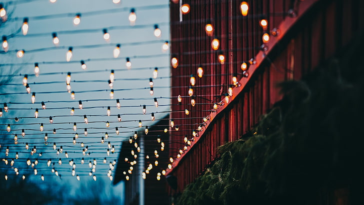 guirlandes noires, mise au point peu profonde photo de guirlandes, lumières, lumières de Noël, bokeh, fils, plantes, bâtiment, lampe, rouge, atmosphère, soirée, Fond d'écran HD