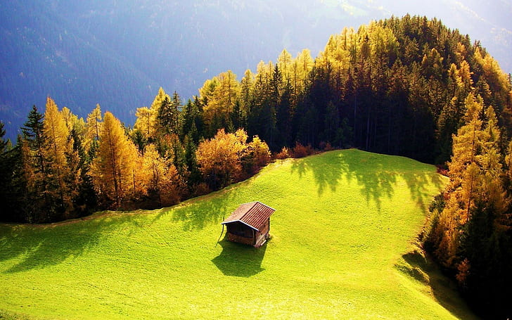 paisagem, floresta, casa de campo, outono, árvores, HD papel de parede
